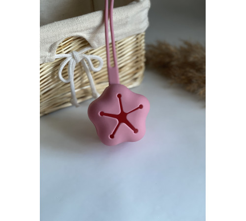 Контейнер для соски силіконовий Blush Румянець