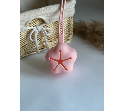 Контейнер для соски силіконовий Rose Quartz Рожевий кварц