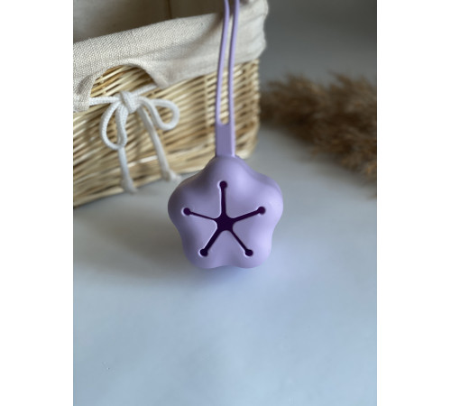Контейнер для соски силіконовий Lilac Бузок