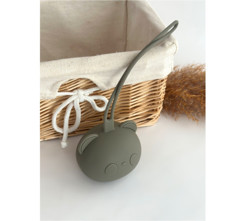 Контейнер для соски силіконовий Ведмедик Sage Шавлія