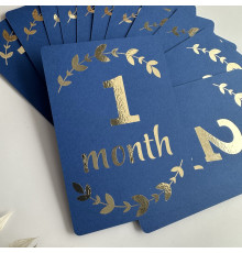 Набір карток 1-12 місяців Синій + золото 