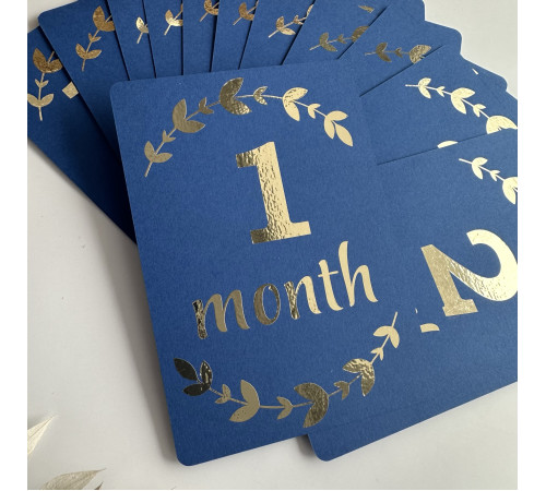Набір карток 1-12 місяців Синій + золото