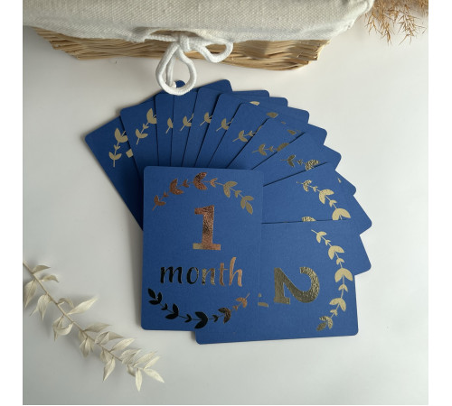 Набір карток 1-12 місяців Синій + золото